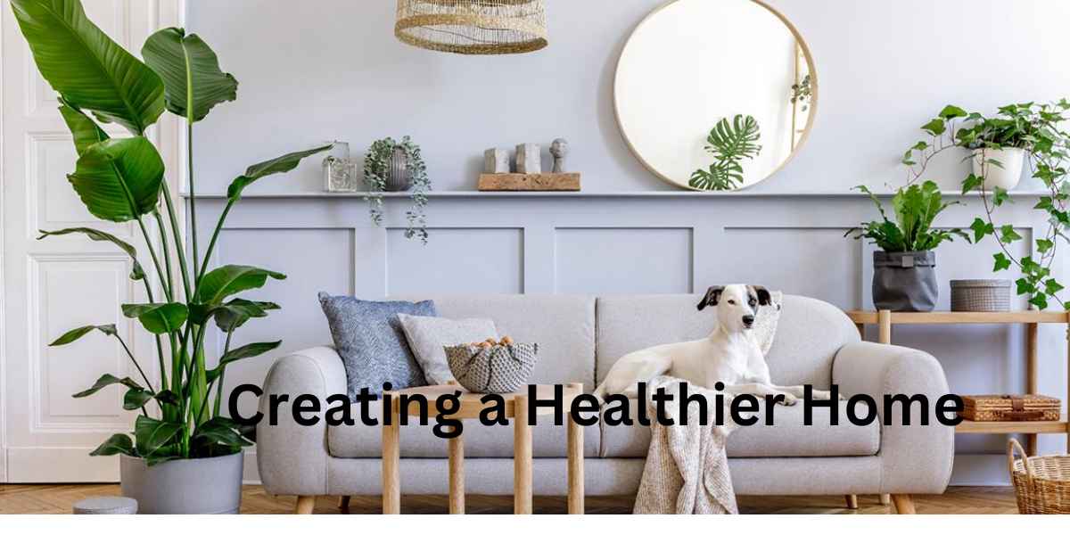 Creating a Healthier Home