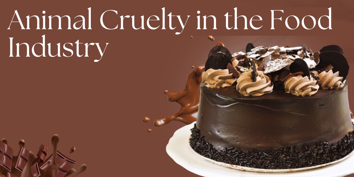 Animal Cruelty in the Food Industry