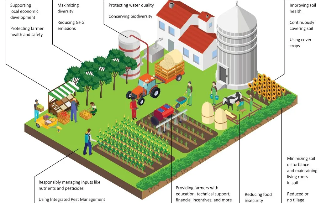 Building a Resilient Global Supply Chain for Animal Nutrition